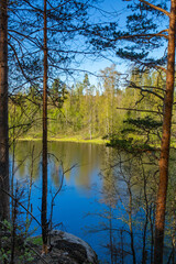 Obraz premium Lake in forest. Picture of nature.