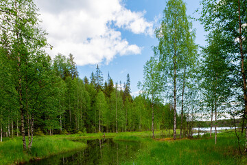 Fototapeta na wymiar Lake in forest. Picture of nature.