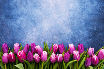 Bouquet of purple tulips on a blue background. Flat lay, copy space