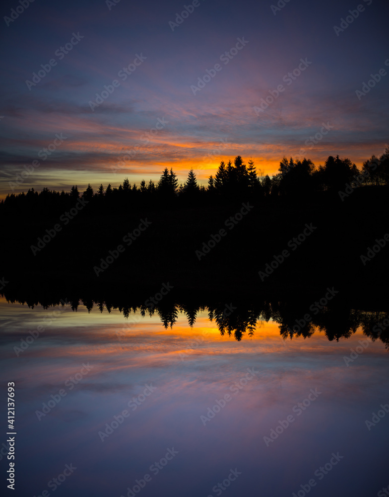 Wall mural abstract image with foggy forest that looks like sound-waves.