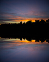 Obraz premium Abstract image with foggy forest that looks like sound-waves. 