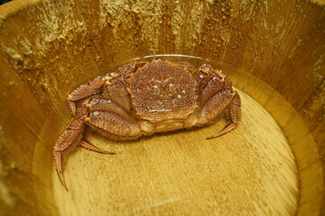 Crab dinner in Hokkaido, Japan