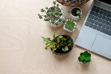 Study of gardening, plants. Online training courses in gardening.