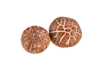 Fototapeta premium Fresh Shiitake mushroom isolated on white background.