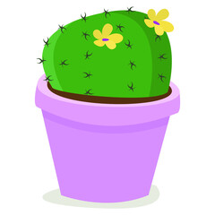 Blooming cactus in pink pot; home potted plant; vector illustration. - 412144497