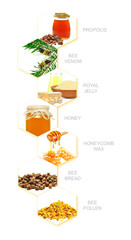 bee products isolated on a white background