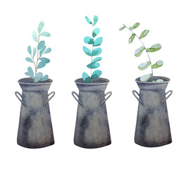 Watercolor set with metal garden vases and eucalyptus isolated on white background. Vintage metal vases with eucalyptus sprigs are perfect for postcards and wallpaper.
