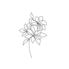 Flower Single Line Drawing. Continuous Line Drawing of Simple Flower Minimalist Style. Abstract Contemporary Design Template for Covers, t-Shirt Print, Postcard, Banner etc. Vector EPS 10.