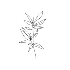 Leaves One Line Drawing. Continuous Line of Simple Flower Illustration. Abstract Contemporary Botanical Design Template for Minimalist Covers, t-Shirt Print, Postcard, Banner etc. Vector EPS 10.