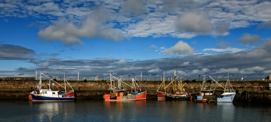 boats in the harbor