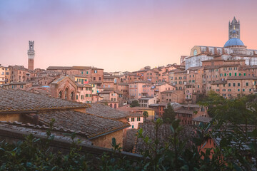 Obraz premium Scenic sunset or sunrise rooftop village view of Duomo di Siena and old town of Siena, Italy in the heart of Tuscany.