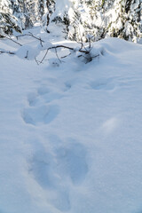 travel along the banks of a mountain in winter
