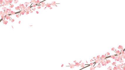 background_sakura 2_1