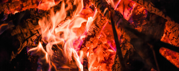 branches and logs are burning in the fire close up