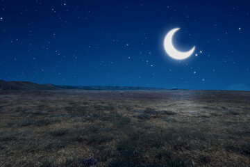 Obraz na płótnie Canvas Meadow field with moonlight
