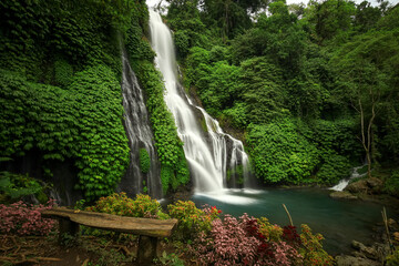 Banyumala waterfall in the north of Bali, that is in Singaraja near Lovina. Jungle waterfall cascade in tropical rainforest with rock and turquoise blue pond. its a twin waterfall in the mountain 