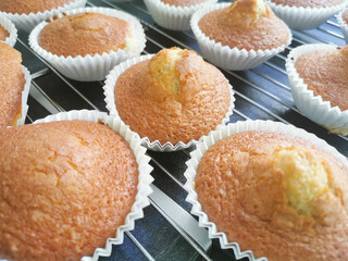Freshly made homemade muffins for breakfast or snack