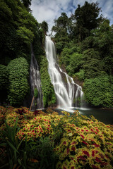 Fototapeta premium Banyumala waterfall in the north of Bali, that is in Singaraja near Lovina. Jungle waterfall cascade in tropical rainforest with rock and turquoise blue pond. its a twin waterfall in the mountain 