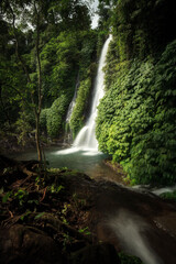 Banyumala waterfall in the north of Bali, that is in Singaraja near Lovina. Jungle waterfall cascade in tropical rainforest with rock and turquoise blue pond. its a twin waterfall in the mountain 