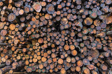 Stacked of felled logs timber wallpaper background
