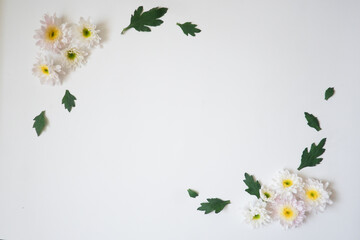 The top view of white background with white flower and their leaves use for your information or text message.