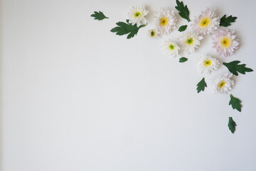 The top view of white background with white flower and their leaves use for your information or text message.