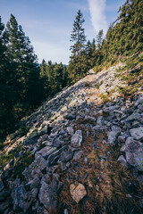 Obraz premium A close up of a rock