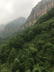 Fototapeta premium view from the mountain