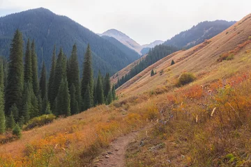 Ein Wanderweg in der Landschaft des Nationalparks Kolsai-Seen am Nordhang des Tian-Shan-Gebirges im Südosten Kasachstans. © Stephen