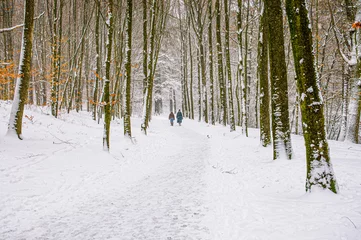 Foto auf Leinwand Snow photos in park Sonsbeek, Arnhem © jos
