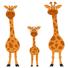 Giraffe family front view. African animals in cartoon style. © KurArt