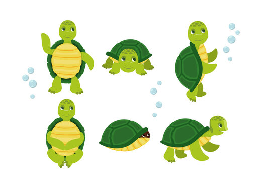 Cute cartoon turtles in different actions. Little turtles, walking and swimming turtle animals. Cartoon characters baby turtles, cute wildlife animals in shell.