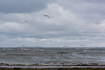 Sturmtief Tristan sorgt in der Kieler Förde für Hochwasser, Wellen und Gischt in der Kieler Förde. Impressionen aus Strande, Schilksee und Kiel.