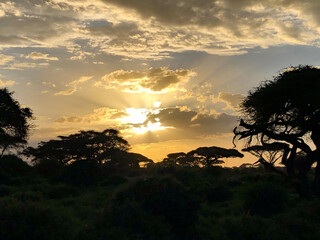 Sunset in Africa