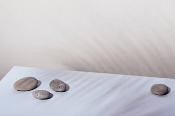 Minimal modern product display. Round stones and palm leaf shadow. Nature aesthetic and Eco trends