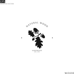 Natural wood. Logo template. Isolated oak branch on white background