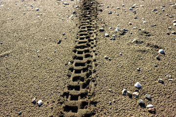 Wheel tracks on the beach sand.  Abstract background and texture. Selective focus.