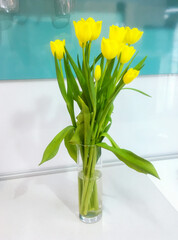 A bouquet of yellow tulips in a vase - 412167491