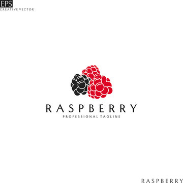 Raspberry. Logo template. Isolated berries on white background 