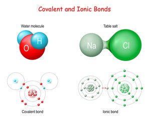 Ionic vs Covalent Bonds.