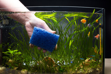 Clean aquarium glass. Change water in aquarium.