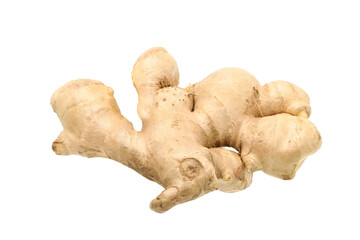 Fresh ginger rhizome isolated on white background. Clipping path.