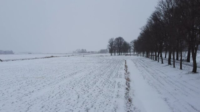 Snowy winter view in a rural landscape in the delta of the river IJssel, Netherlands. Aerial drone point of view.