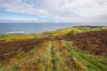 Fototapeta na wymiar Scenic coastline landscape views at Ravenscar on the North Yorkshire Coast, part of the civil parish Staintondale in North York Moors National Park, England.