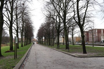 Erasmuspark View in Amsterdam Baarsjes District