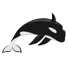 cute cartoon flat killer whale from side, vector isolated on white, illustration for children