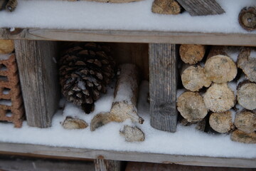 Pflanzen mit Schnee bedeckt