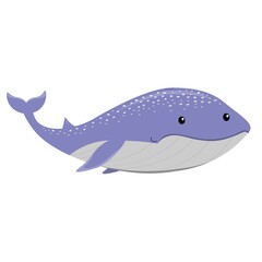 Cute cartoon blue whale (Balaenoptera musculus) isolated white background, vector illustration