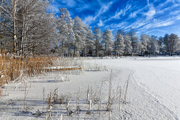 Lake coast in winter scenery