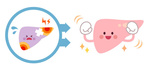 不健康な肝臓から健康な肝臓になるビフォーアフター